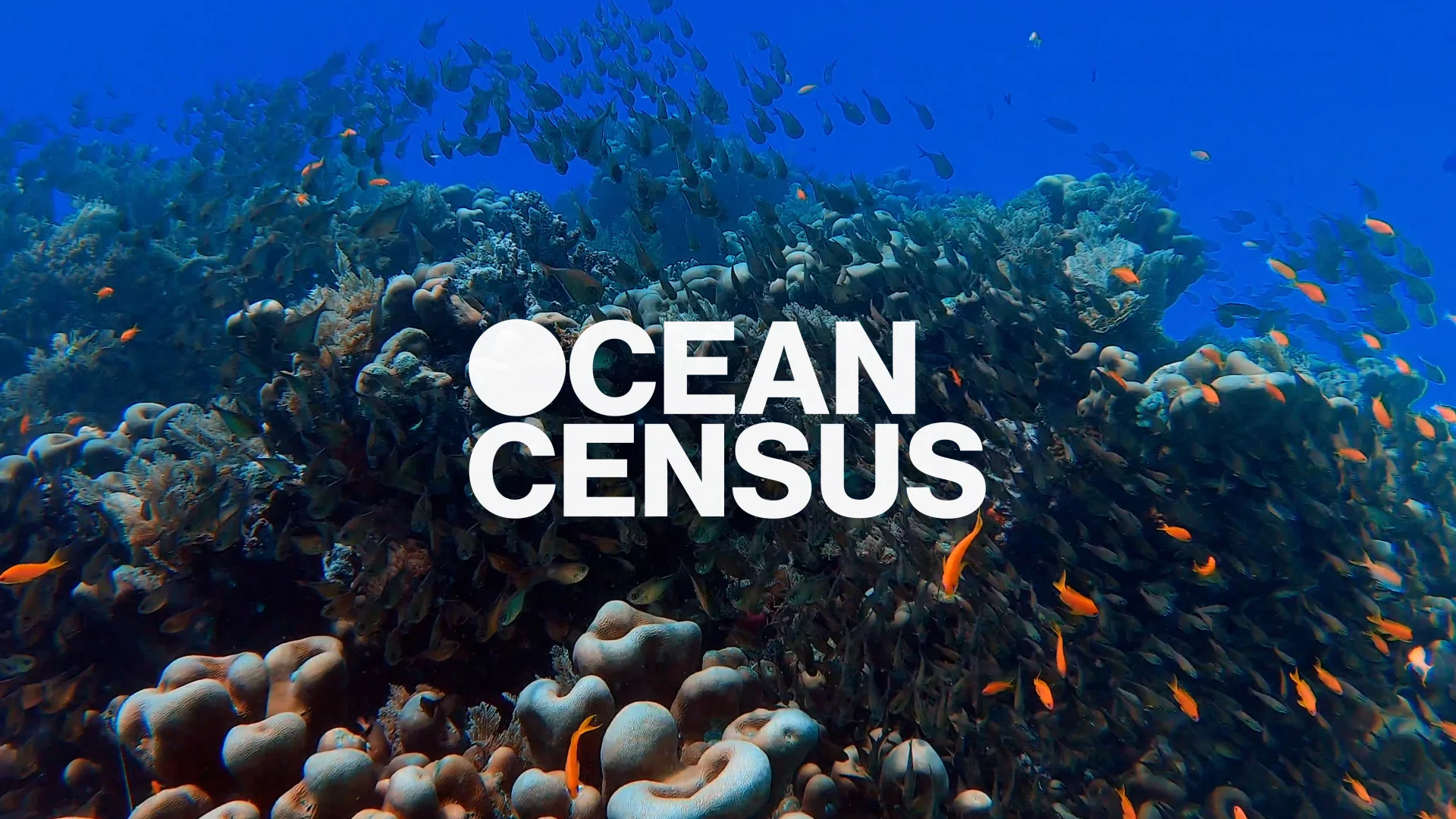 Ocean Census project